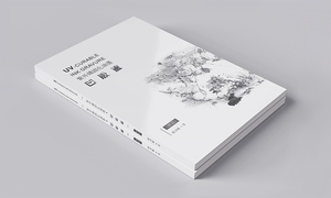 《紫外线固化油墨凹版画》版画大师苏沛权著