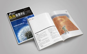 《蓝泰管理评论》创刊号