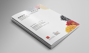 音乐手册《德国新声-创新与灵越》