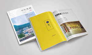 中兴发展-企业内刊/第31期