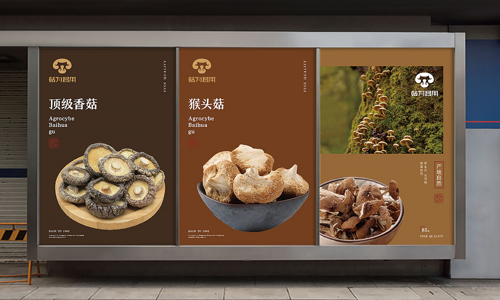 VI案例-菇为君用/原生态菌类